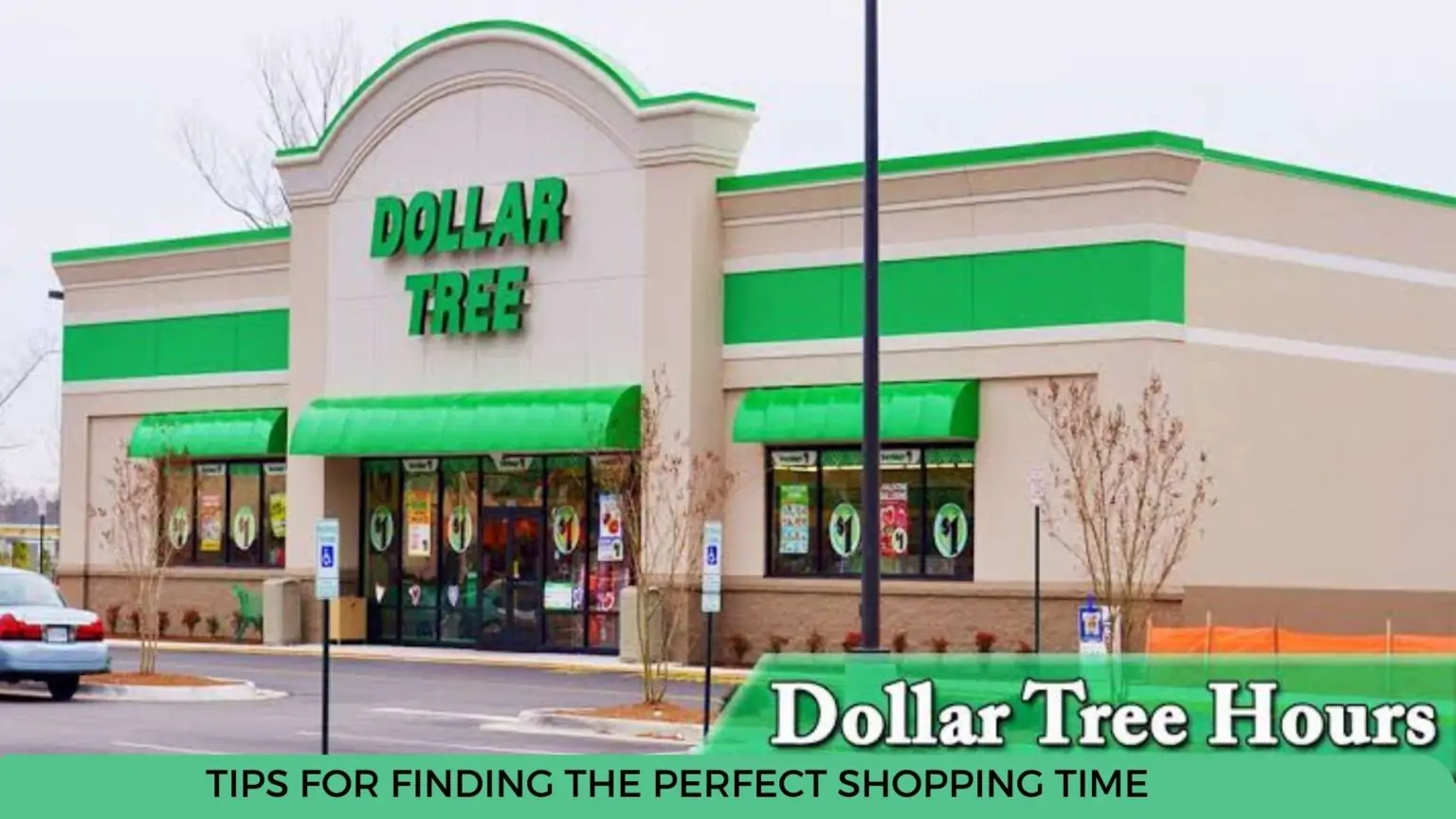 Dollar Tree Hours Tips For Finding The Perfect Shopping Time